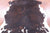 Brindle Natural Cowhide Rug - Large 7'3"H x 6'3"W