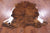 Brindle Natural Cowhide Rug - Large 6'7"H x 6'3"W