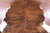 Brindle Natural Cowhide Rug - Large 6'7"H x 6'3"W